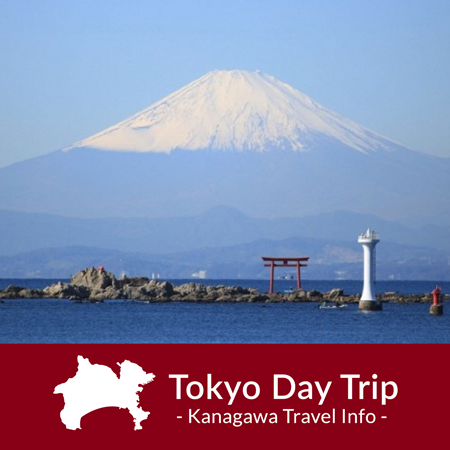 Tokyo Day Trip