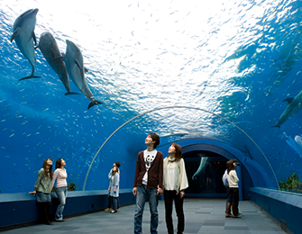 Yokohama Hakkeijima Sea Paradise