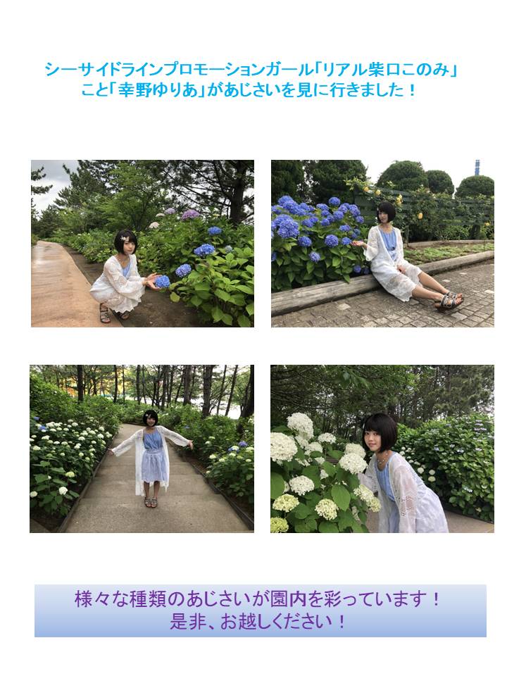 トピックス詳細 横浜シーサイドライン
