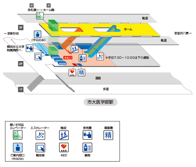 市大医学部駅構内図